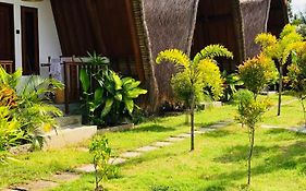 Tropical Sunday Bungalow - Surf And Stay